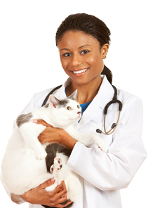 Female Veterinarian smiling and holding a white cat.